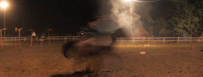 IMG_1572-fast_horse