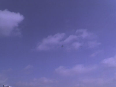 Photo_081405_004